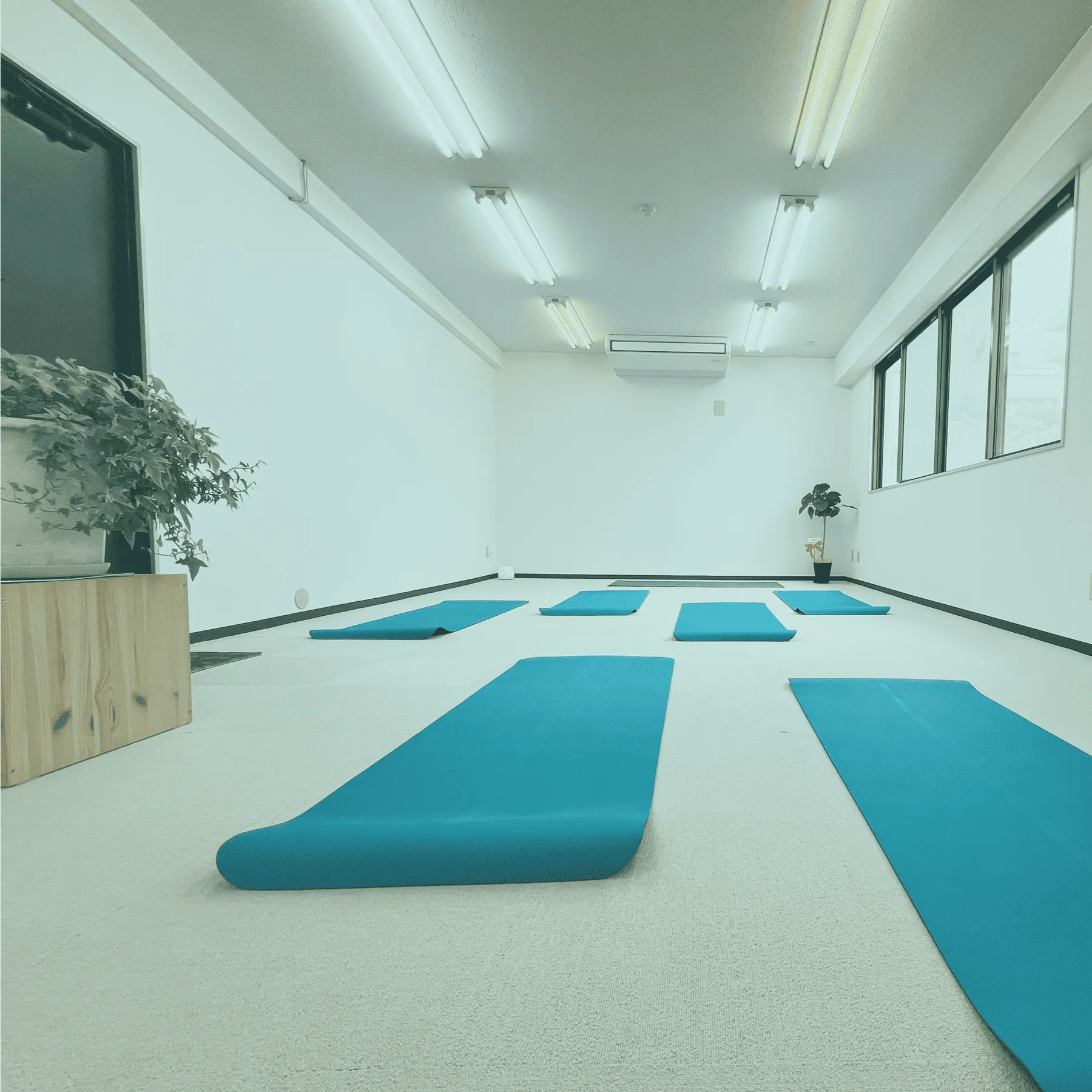 プラナスタジオの写真