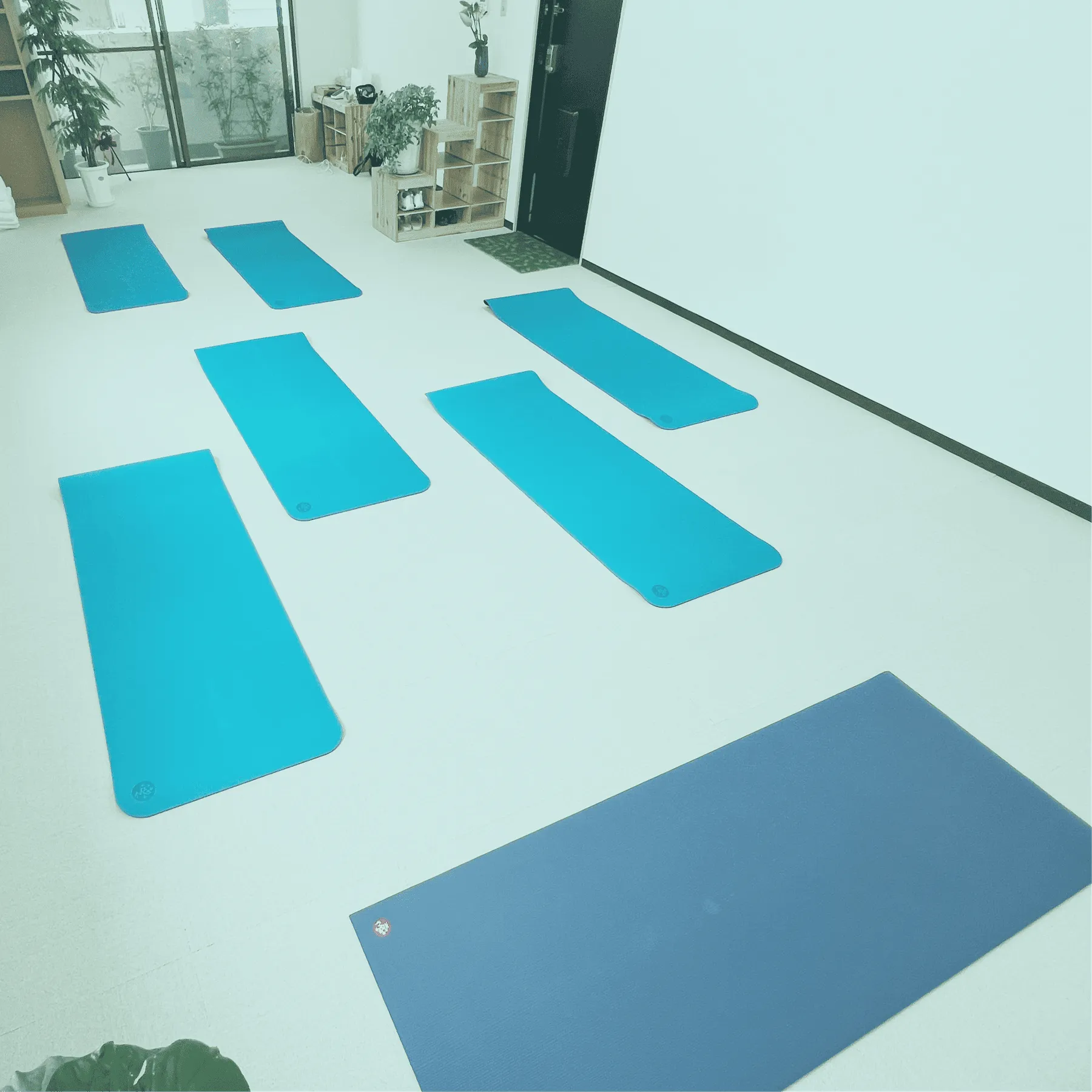 プラナスタジオの写真