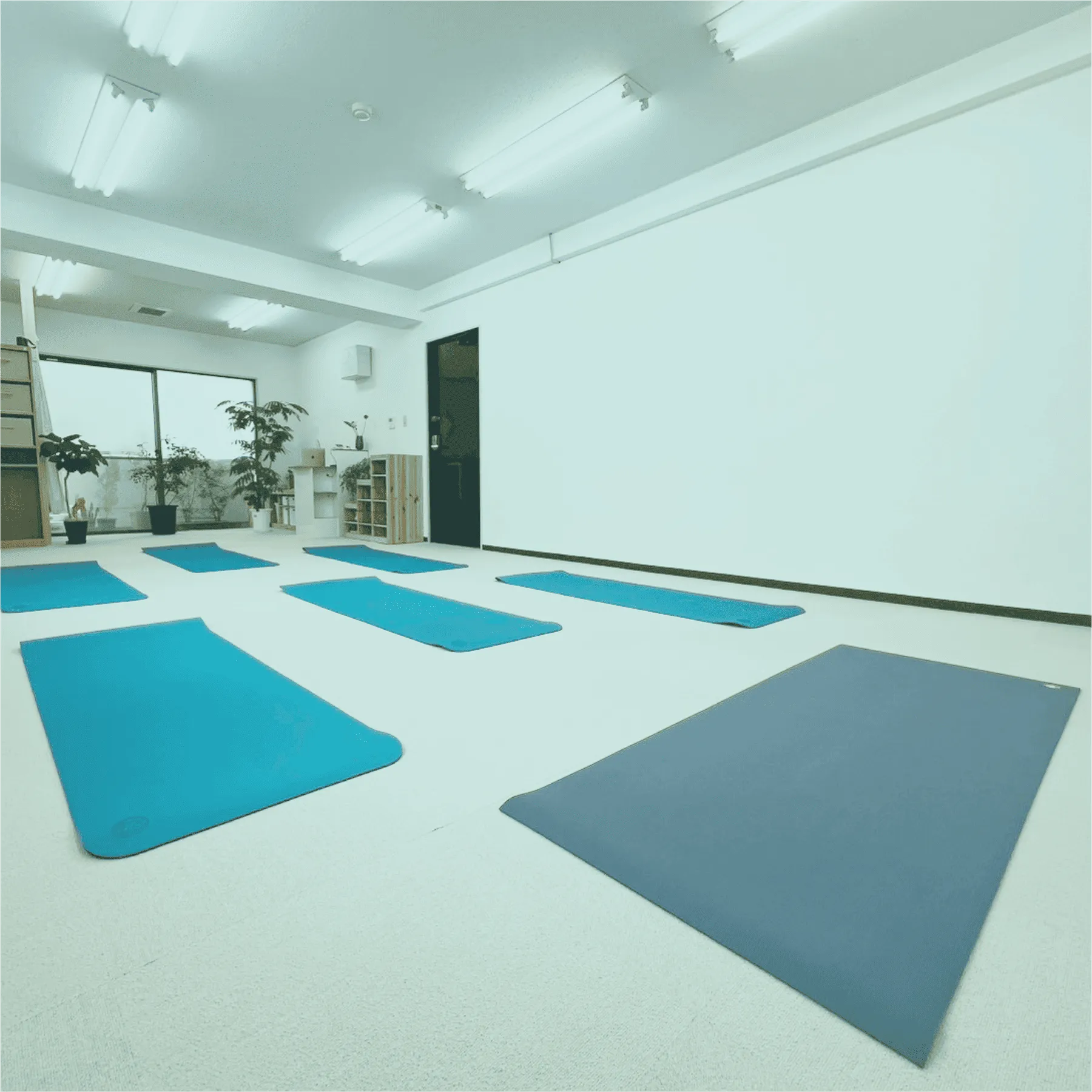 プラナスタジオの写真