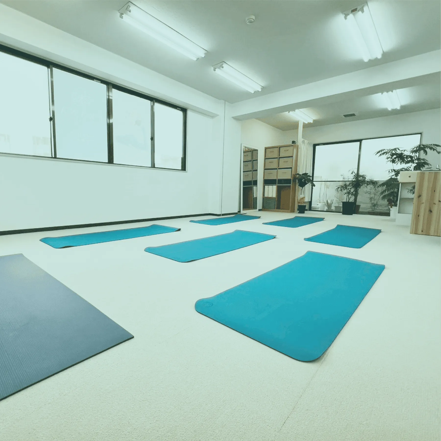 プラナスタジオの写真